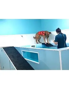Piscina de rehabilitación para perros Aqua Luxe
