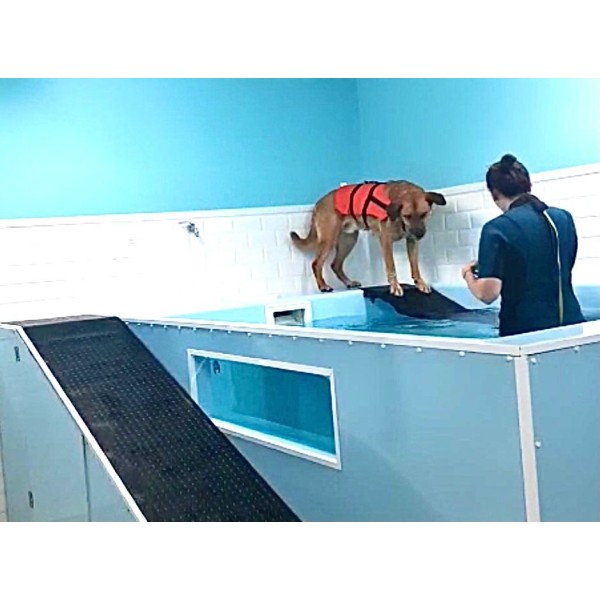 Estrella Suponer Perezoso Piscina de rehabilitación en poliéster para perros | Aqua Luxe