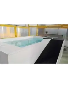 Piscina de rehabilitación para perros Aqua Luxe 2