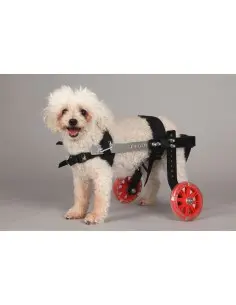 Silla de Ruedas para Perros pequeños Mini Fantasy menos 6kg