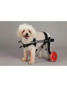 Silla de Ruedas para Perros pequeños Mini Fantasy menos 6kg - Sillas de ruedas para perros nuevas -169,95 € Novecan 2