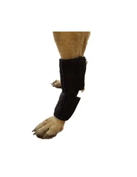 Protector de Tarso con Férula para Perros
