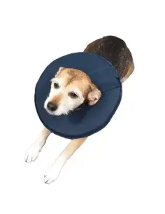 Collar Isabelino Antiestrés para Perros