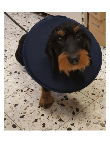 Collar Isabelino Antiestrés para Perros