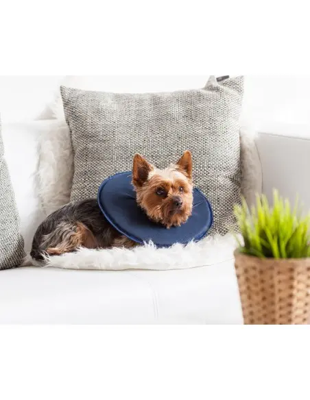 Collar Isabelino Antiestrés para Perros - Arneses -24,95 € Novecan Collar Isabelino Antiestrés para Perros - Arneses -24,95 € Novecan