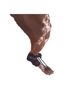 Corrector de Propiocepción para perros