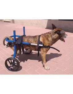 Silla de Ruedas para Perros Grandes de 31Kg a 45Kg - Sillas de ruedas para perros nuevas -321,95 € Novecan 2