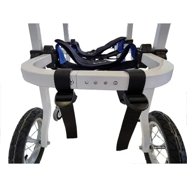 Silla de Cuatro Ruedas para Perros Grandes de 31Kg a 49Kg