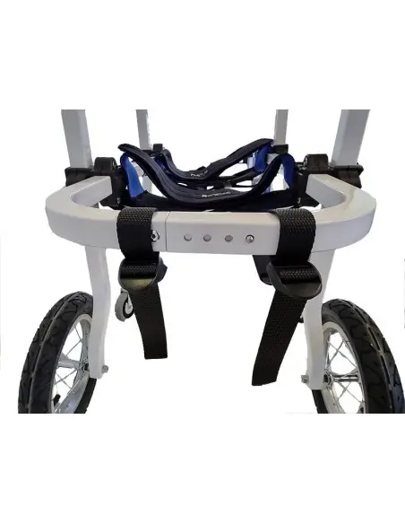 Silla de Cuatro Ruedas para Perros Grandes de 31Kg a 49Kg