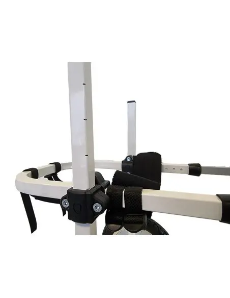 Silla de Cuatro Ruedas para Perros Grandes de 31Kg a 49Kg