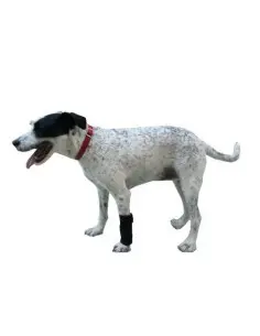 Protector de Carpo para Perros (copia)