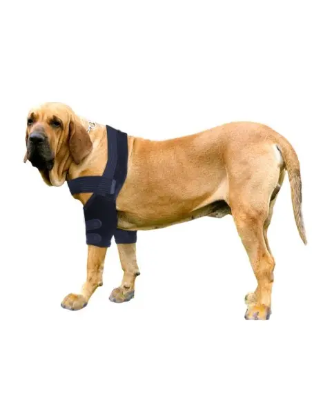 Elbow Protector for Dogs