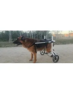 Silla de Ruedas Rehabidog para Rehabilitación hasta 60kg - Fisioterapia para Perros -749,95 € Novecan 2