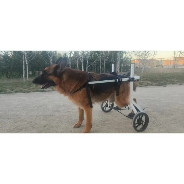 Silla de Ruedas Rehabidog para...