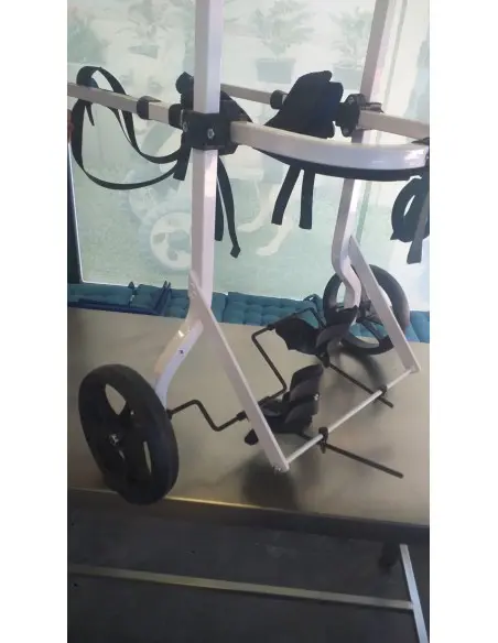 Silla de Ruedas Rehabidog para Rehabilitación hasta 50kg