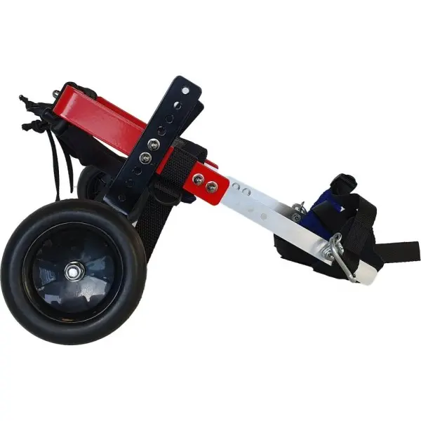 Sillas de Segunda Mano para Perros Medianos de 18 - 30 kg - Sillas de ruedas para perros Segunda Mano -0,00 € Novecan