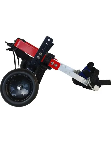 Sillas de Segunda Mano para Perros Medianos de 18 - 30 kg - Sillas de ruedas para perros Segunda Mano -0,00 € Novecan