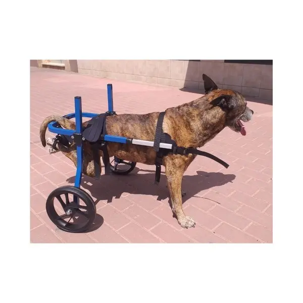 Sillas de Segunda Mano para Perros Medianos de 18 - 30 kg - Sillas de ruedas para perros Segunda Mano -0,00 € Novecan