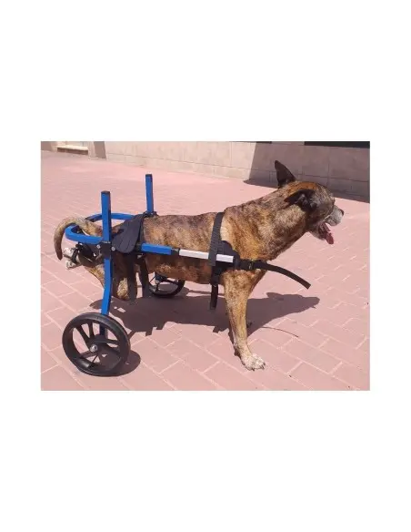 Sillas de Segunda Mano para Perros Medianos de 18 - 30 kg - Sillas de ruedas para perros Segunda Mano -0,00 € Novecan