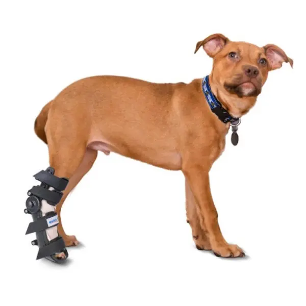 Férula ajustable para Perros