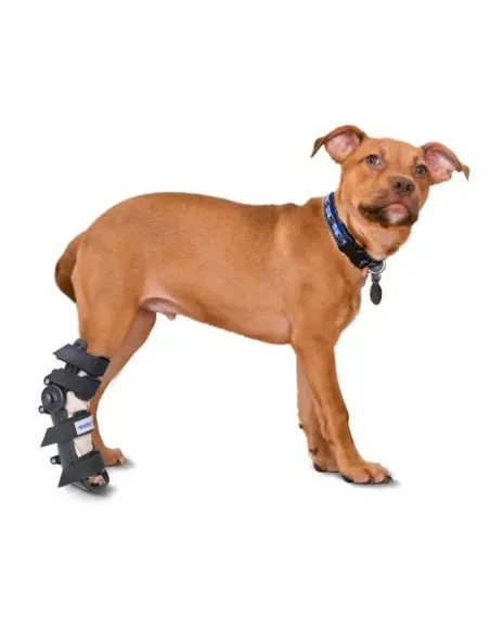 Férula ajustable para Perros