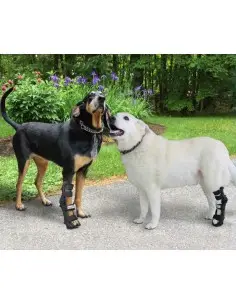 Férula ajustable para Perros delantera o trasera - Férulas ortopédicas -169,90 € Novecan