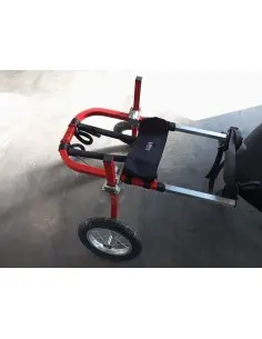 Alquiler de sillas de ruedas para Perros grandes de 31Kg a 45Kg - Sillas de ruedas para alquilar -389,95 € Novecan 2