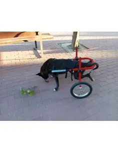Alquiler de sillas de ruedas para Perros grandes de 31Kg a 45Kg - Sillas de ruedas para alquilar -389,95 € Novecan