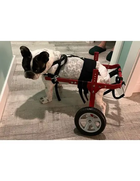 Silla de Ruedas para Perros Pequeños de 6Kg a 17Kg Silla de Ruedas para Perros Pequeños de 6Kg a 17Kg