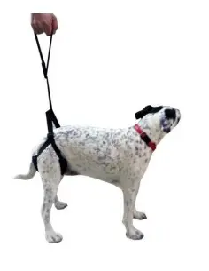 Arnés de Apoyo Trasero para Perros