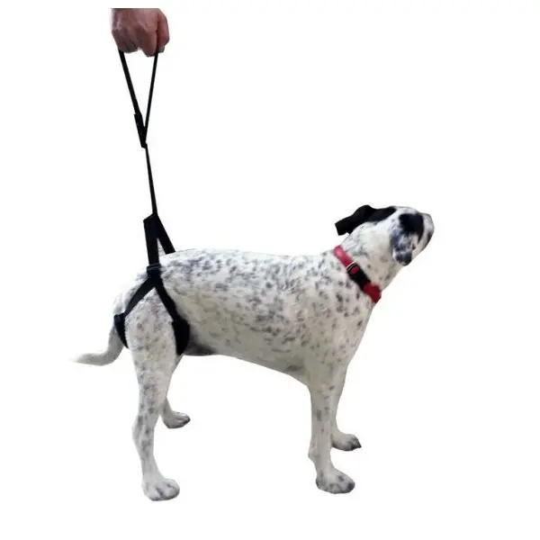 Arnés de Apoyo Trasero para Perros Arnés de Apoyo Trasero para Perros
