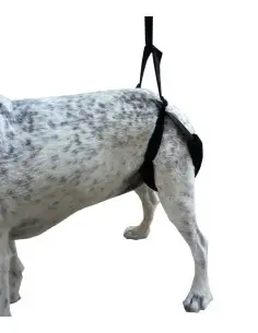 Arnés de Apoyo Trasero para Perros 2