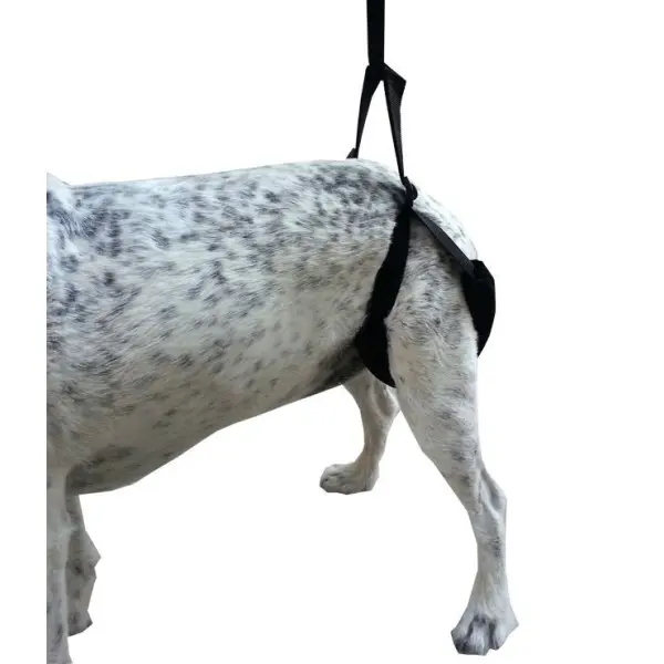 Arnés de Apoyo Trasero y Delantero para Perros - Arneses -24,49 € Novecan Arnés de Apoyo Trasero y Delantero para Perros - Arneses -24,49 € Novecan