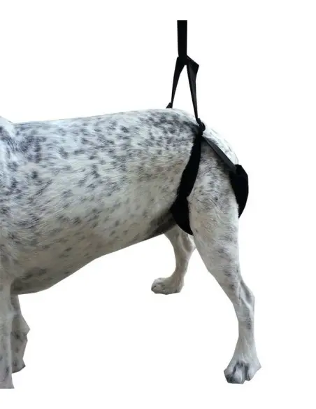 Arnés de Apoyo Trasero y Delantero para Perros - Arneses -24,49 € Novecan Arnés de Apoyo Trasero y Delantero para Perros - Arneses -24,49 € Novecan