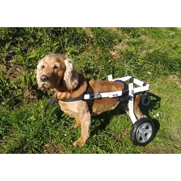 Silla de Ruedas para Perros Pequeños de 6Kg a 17Kg Silla de Ruedas para Perros Pequeños de 6Kg a 17Kg