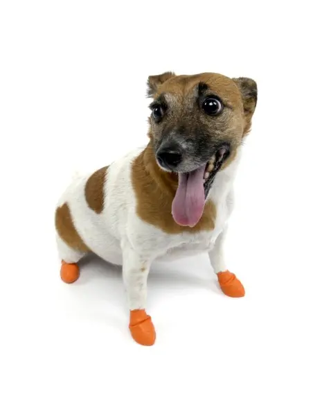 Botas de Caucho para Perros Botas de Caucho para Perros