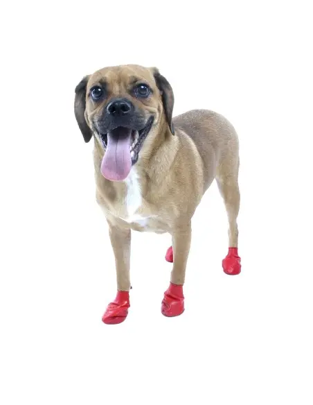 Botas de Caucho para Perros Botas de Caucho para Perros