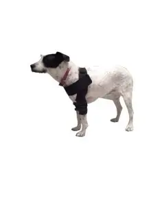 Codera Doble para Perros