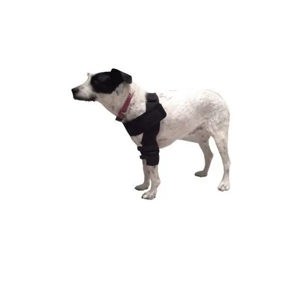 Codera Doble para Perros