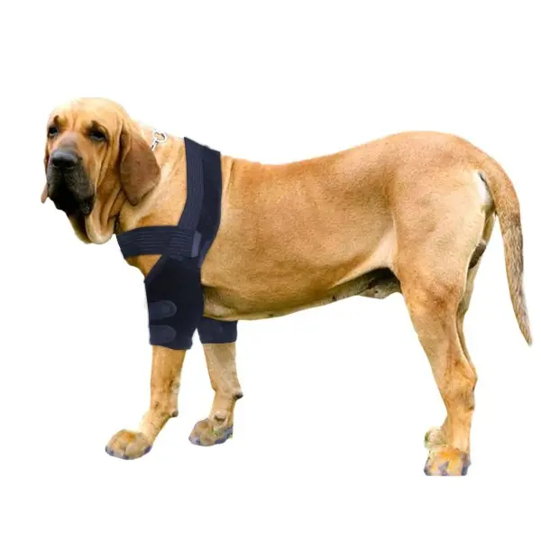 Codera Doble para Perros