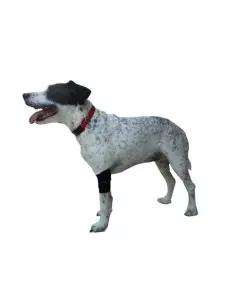 Protector de Codo para Perros