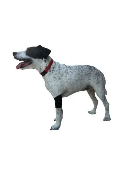 Protector de Codo para Perros