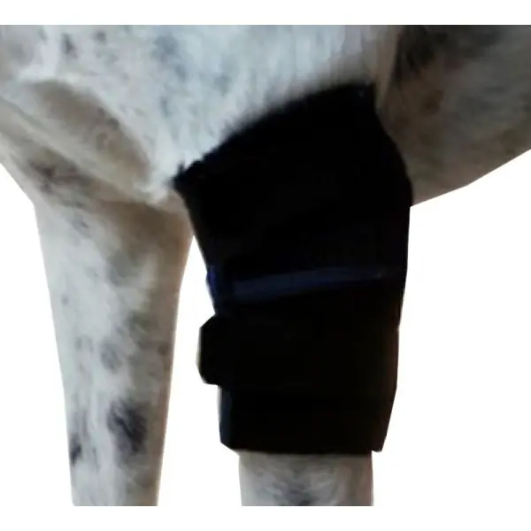 Protector de Codo para Perros