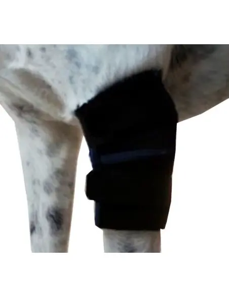 Protector de Codo para Perros Protector de Codo para Perros
