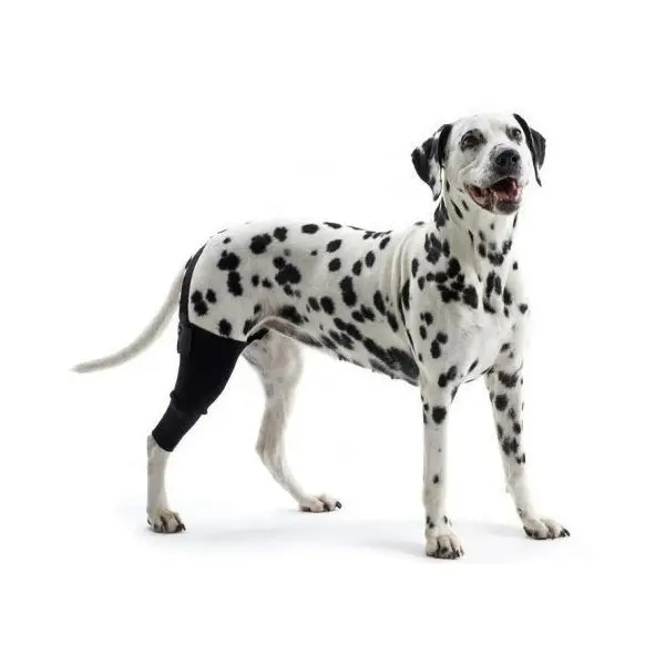 Protector de Rodilla para Perros - Protectores para perros -27,90 € Novecan