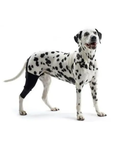 Protector de Rodilla para Perros - Protectores para perros -27,90 € Novecan