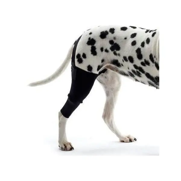 Protector de Rodilla para Perros - Protectores para perros -27,90 € Novecan