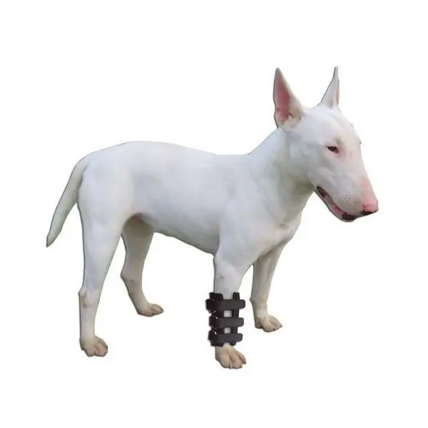 Férula para Carpo Perros - Férulas ortopédicas -53,90 € Novecan
