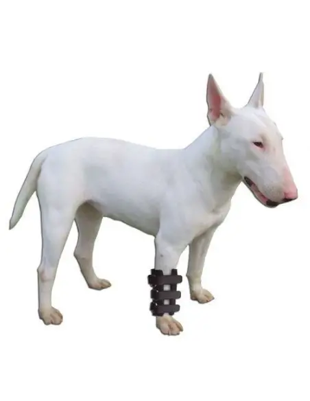 Férula para Carpo Perros