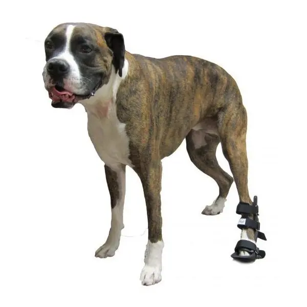 Férula Posterior para Perros - Férulas ortopédicas -65,50 € Novecan
